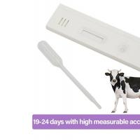 Product Description   Cattle cow pregnancy test strip(paper)  Product introducti