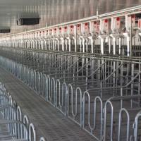 AUTOMATIC PIG FEEDING SYSTEMS