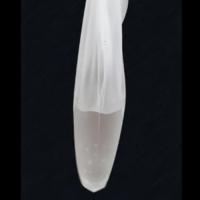 Canine semen collection funnle